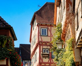 Paar, das auf einer gepflasterten Straße in einer malerischen Altstadt spaziert, umgeben von historischen Fachwerkhäusern und Pflanzen.