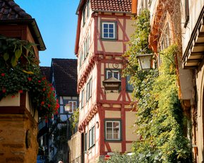 Paar, das auf einer gepflasterten Straße in einer malerischen Altstadt spaziert, umgeben von historischen Fachwerkhäusern und Pflanzen.